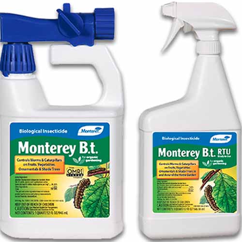 A close up square image of two bottles of Monterey BT isolated on a white background.