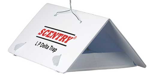 A close up horizontal image of a Scentry LP Delta Trap isolated on a white background.