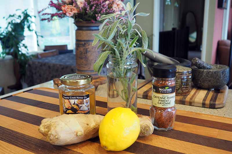 A close up horizontal image of the ingredients for a herbal tea set on a wooden surface in a home.