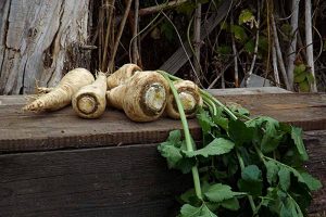 Tips for Growing Parsnips in Containers