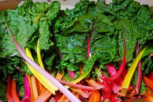 A close up horizontal image of bunches of rainbow Swiss chard with bright red and orange stalks and dark green leaves.