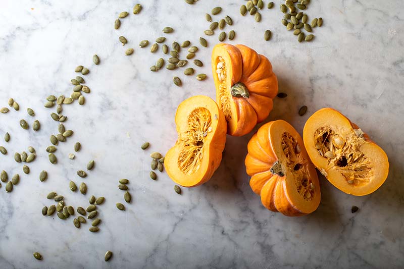 Touch Of Autumn Pumpkin Seeds Vanmakesandmodels