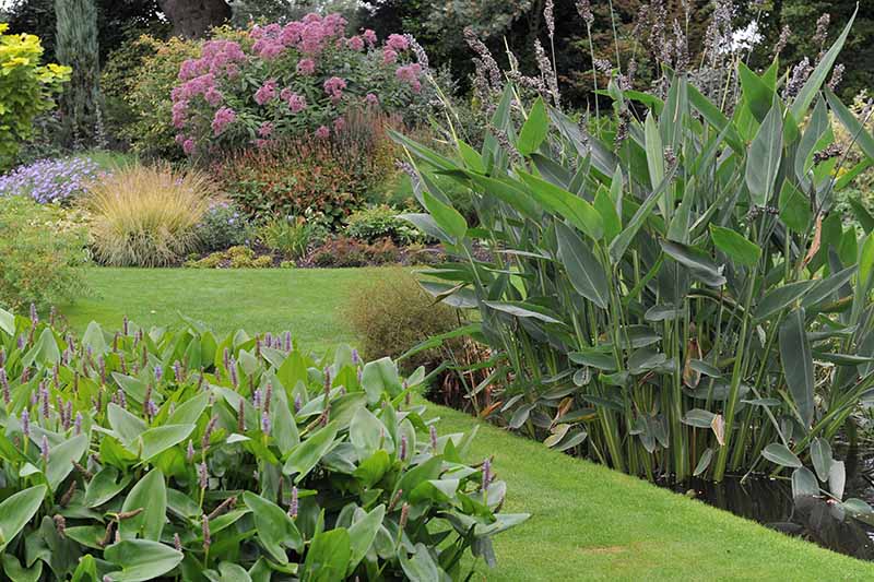 A horizontal image of a formal garden with a variety of different plantings in borders around lawn.
