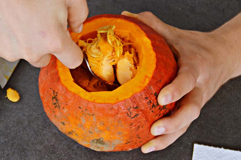 A close up horizontal image of two hands using a spoon to scoop the flesh out of a small pumpkin.