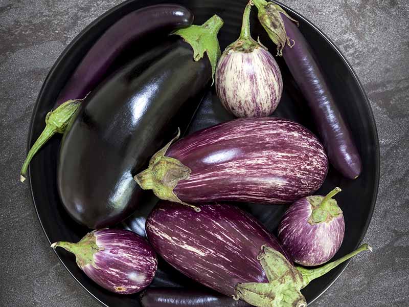 A close up horizontal image of a bowl filled with different varieties of eggplants set on a gray surface.