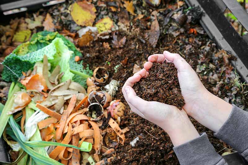 A close up horizontal image of two hands scooping compost out of a bin.