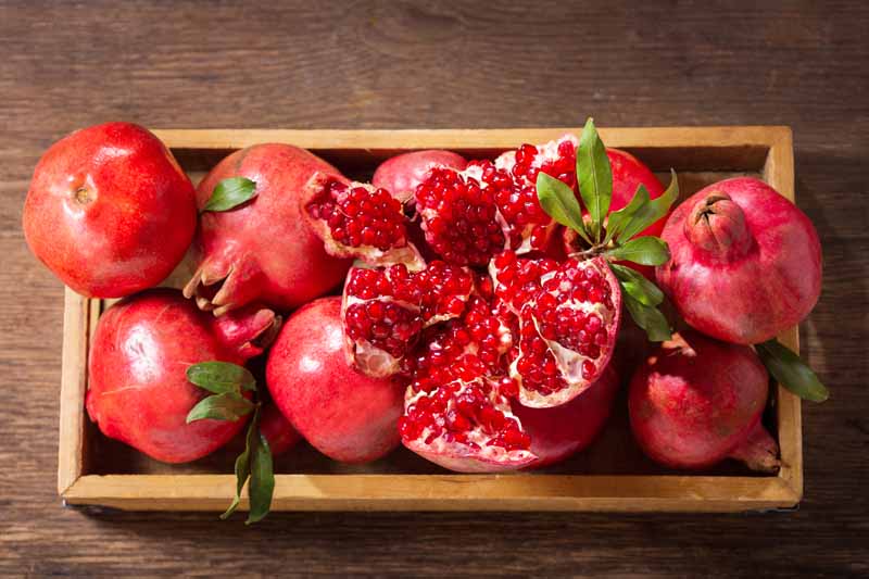 A close up horizontal image of freshly harvested pomegranates in a wooden crate set on a wooden surface.