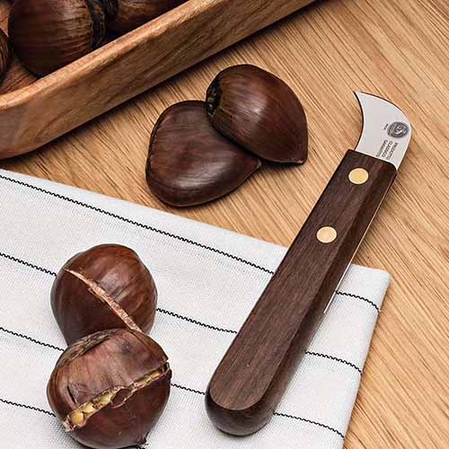 A close up square image of a chestnut knife set on a wooden surface.