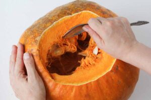 A close up horizontal image of two hands using a metal spoon to scoop out the flesh from an orange pumpkins.