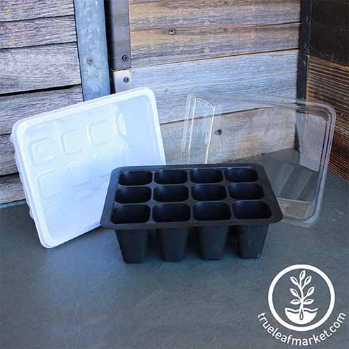 A close up square image of a seed starting tray kit with a humidity dome set on a dark gray surface.