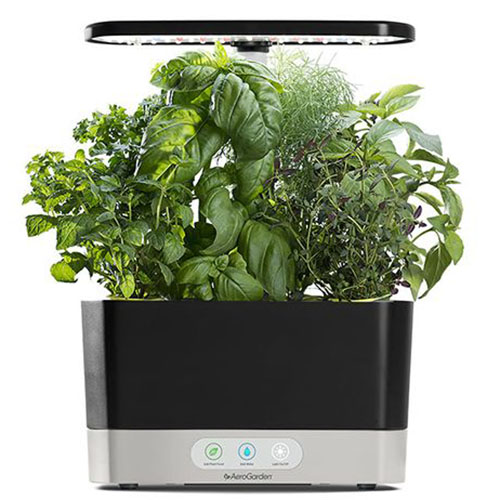 A close up square image of the AeroGarden Harvest isolated on a white background.