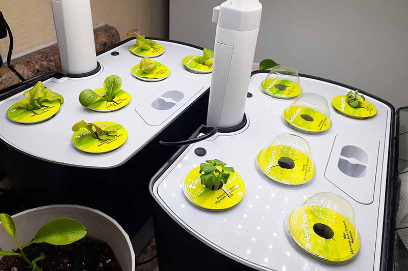 A close up horizontal image of two AeroGarden units planted with a variety of herbs and vegetables that have started to sprout.