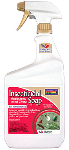 A close up vertical image of a bottle of Bonide Insecticidal Soap isolated on a white background.