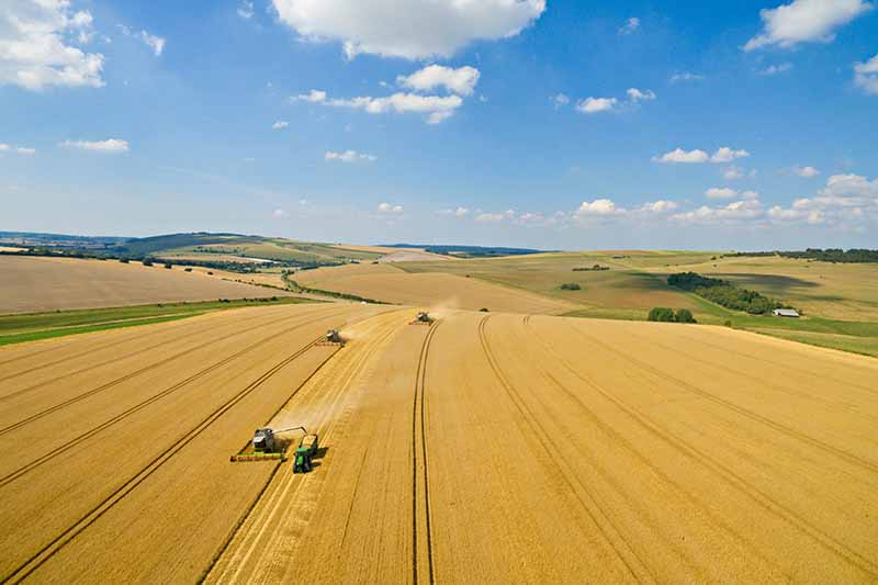 A horizontal aerial image of combine harvesters in a commercial field harvesting barley pictured on a blue sky background.