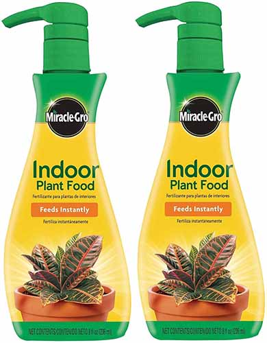 A close up square image of two bottles of Miracle-Gro Indoor Plant Food isolated on a white background.