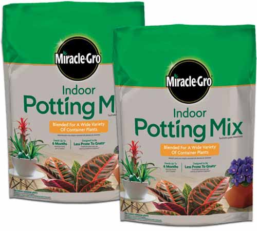 A close up square image of two bags of MiracleGro Indoor Potting Mix isolated on a white background.
