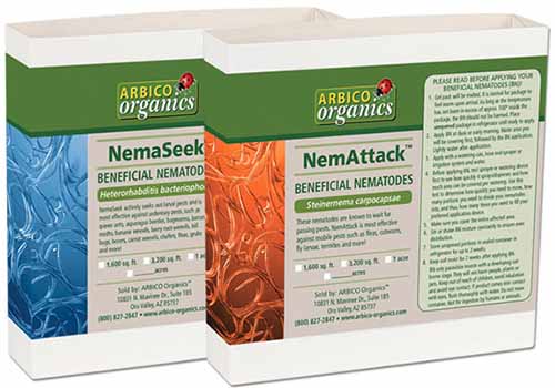 A close up horizontal image of the packaging of NemaSeek and NemAttack beneficial nematodes isolated on a white background.