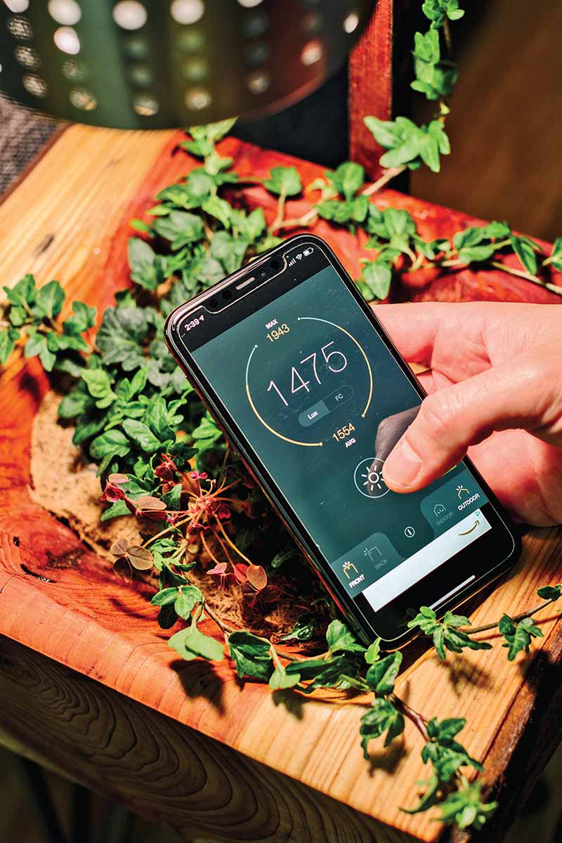 A close up vertical image of a hand from the right of the frame holding a phone, looking at an app to measure light provided to an indoor plant.