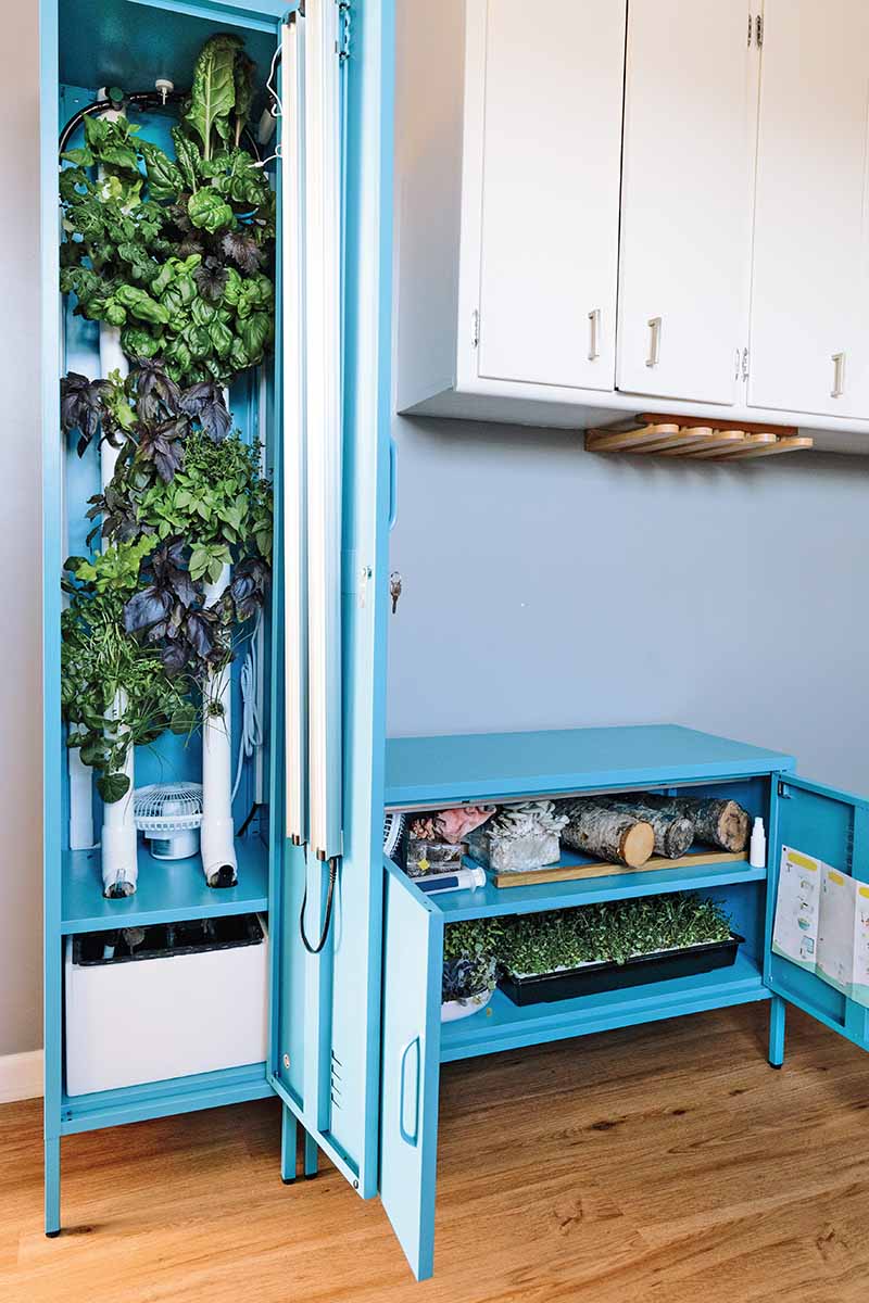 A close up vertical image of a kitchen cabinet set up to grow herbs vertically using hydroponics.