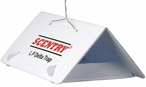 A close up horizontal image of a Scentry Delta Lure Trap isolated on a white background.