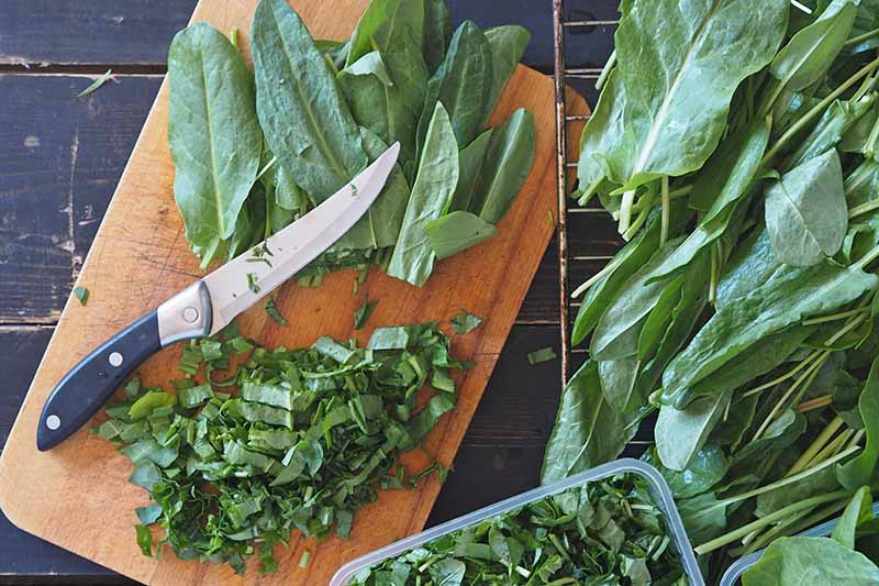 A close up top down image of a chopping board with leafy greens chopped and whole and a knife.
