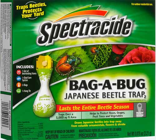 A close up square image of the packaging of Spectracide Bag-A0Bug Japanese Beetle Traps isolated on a white background.