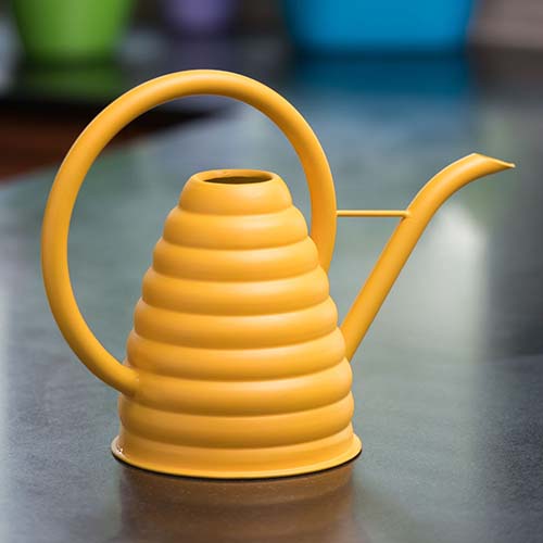 A close up square image of a yellow watering can in the shape of a beehive pictured on a soft focus background.
