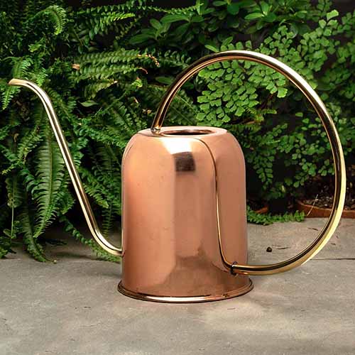 A close up square image of a brass and copper watering can set on a concrete surface with plants in the background.