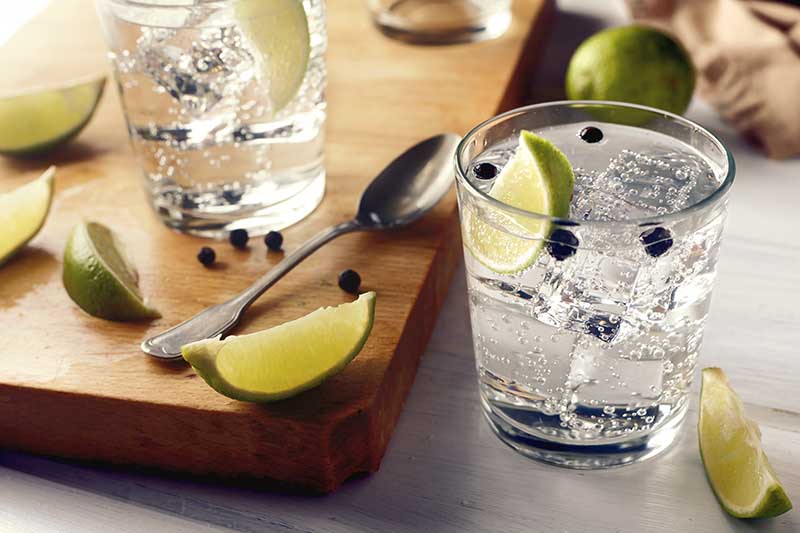 A close up horizontal image of two glasses of gin and tonic with berries and lime segments scattered around.