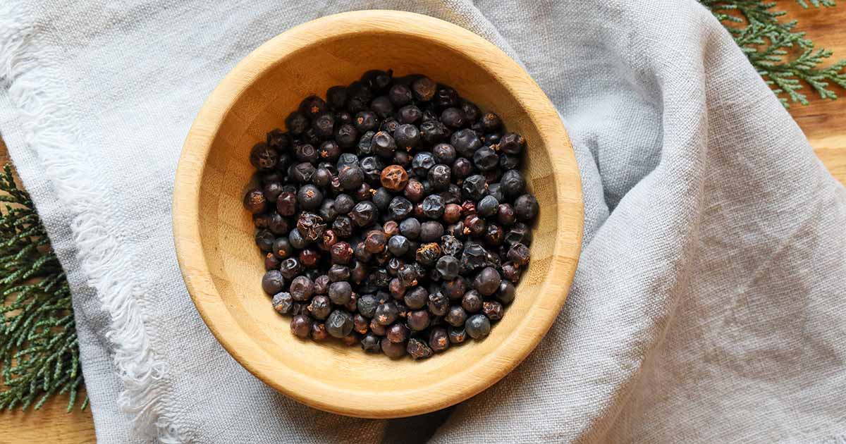 Substitutes for Juniper Berries - Healthier Steps