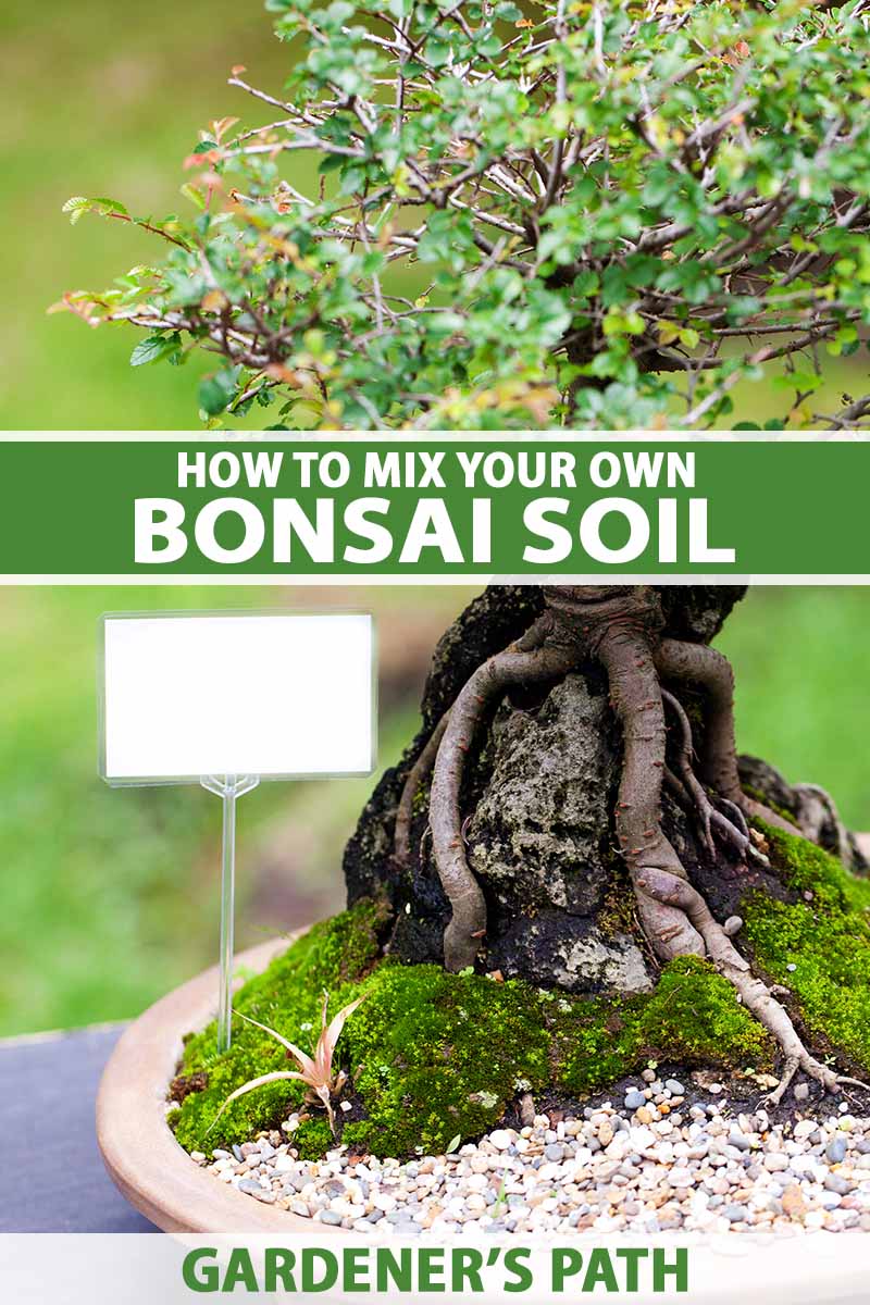 How To Mix Bonsai Soil Gardener S Path