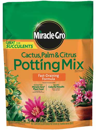 A close up vertical image of a packet of Miracle-Gro Cactus, Palm, and Citrus Potting Mix isolated on a white background.