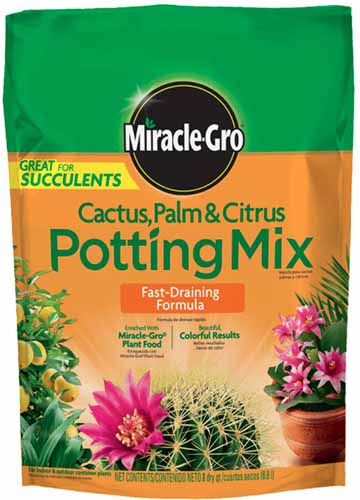 A close up square image of a packet of Miracle-Gro Cactic, Palm, and Citrus Potting Mix isolated on a white background.