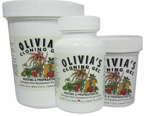 A close up horizontal image of three bottles of Olivia's Cloning Gel isolated on a white background.