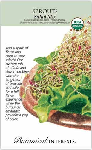 A close up vertical image of a seed packet of salad sprout mix with text to the left of the frame and a hand-drawn illustration to the right.