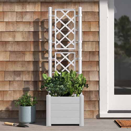 A close up square image of a square planter with a built in trellis outside the front door of a cedar-clad residence.