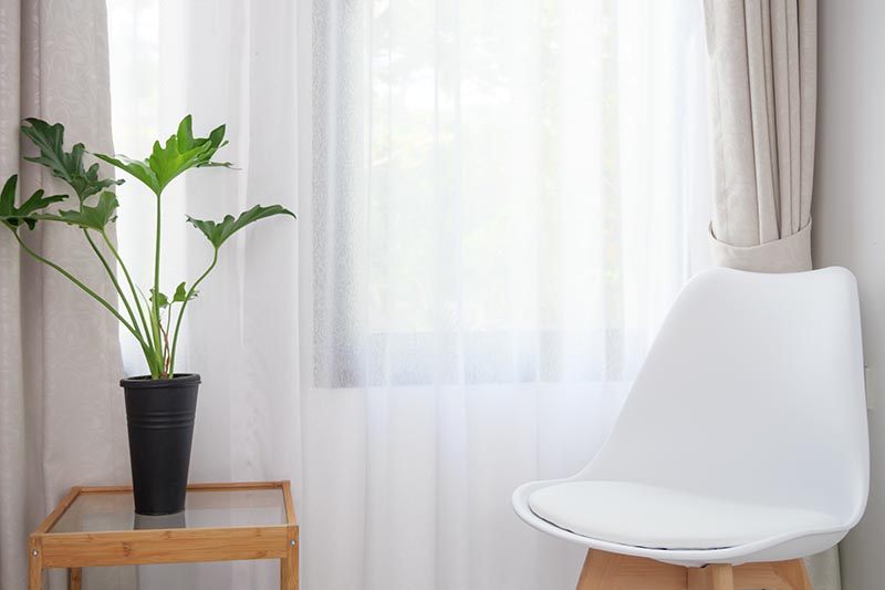 A close up horizontal image of a white seat set near a window with a small tree philodendron growing in a black pot on a glass table.