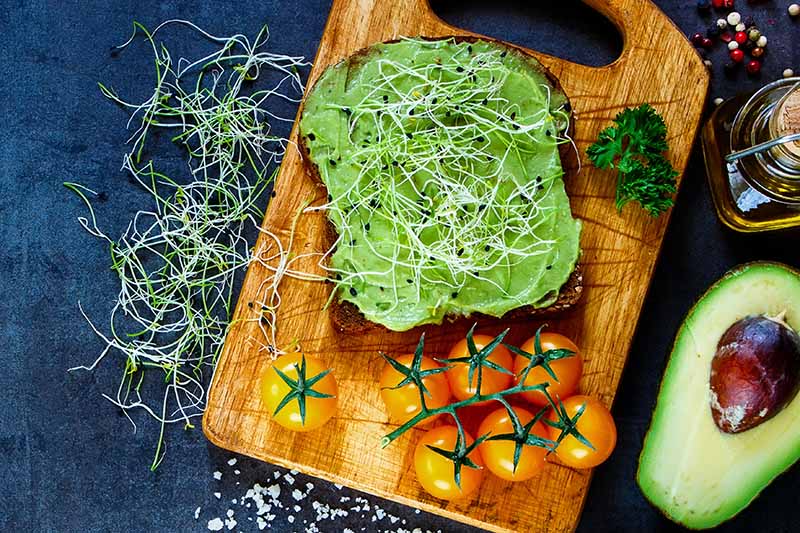 A close up horizontal image of an open face sandwich with guacamole, tomatoes, and sprouts set on a wooden chopping board.