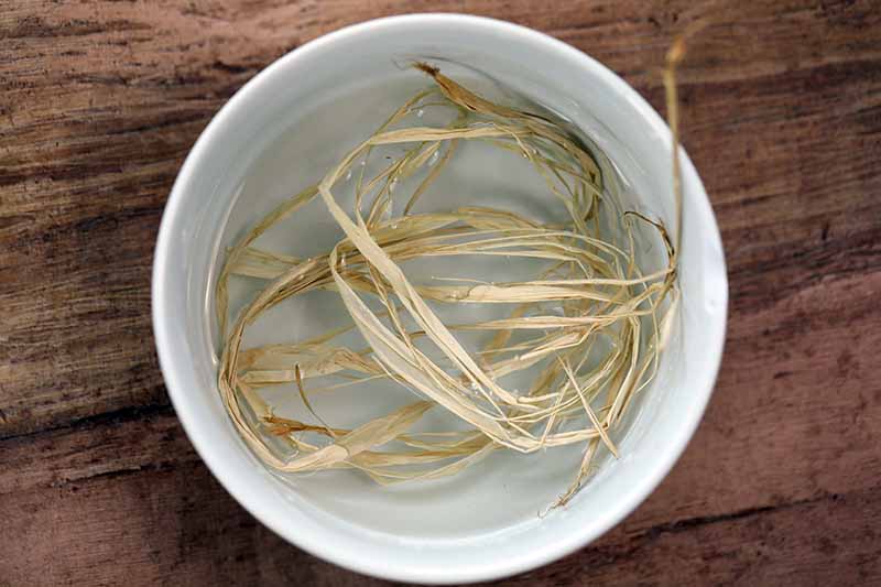 A close up horizontal image of a small white bowl with raffia soaking in water set on a wooden surface.