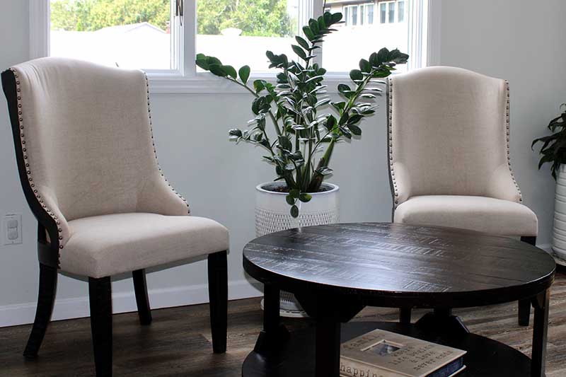 A close up horizontal image of an elegant living room with two chairs and a wooden table with a potted Zamioculcas zamiifolia by a window.