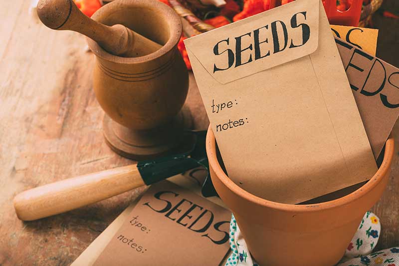 A close up horizontal image of small envelopes, pots, and tools for indoor gardening set on a wooden table.
