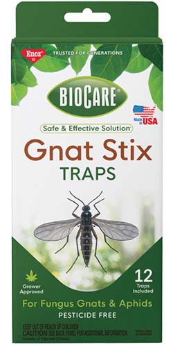 A close up vertical image of the packaging of Gnat Stix traps isolated on a white background.