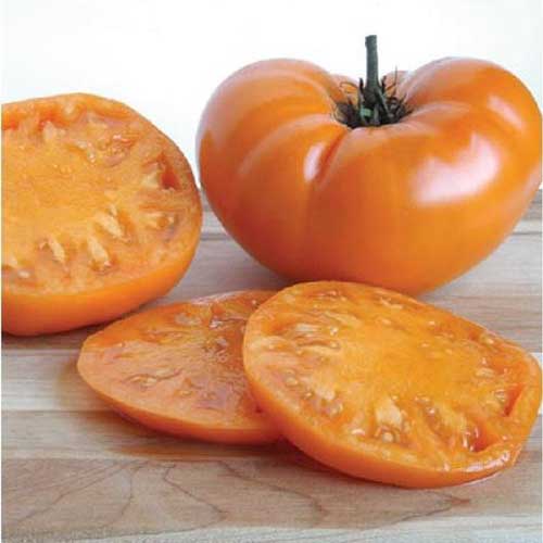 A close up square image of whole and sliced orange 'Kellogg's Breakfast' tomatoes set on a wooden surface.