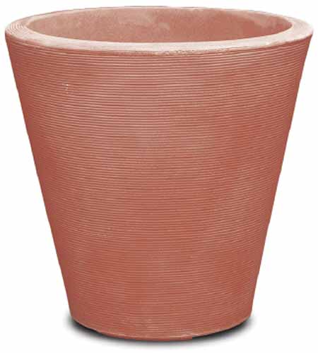 A close up vertical image of a terra cotta planter isolated on white background.