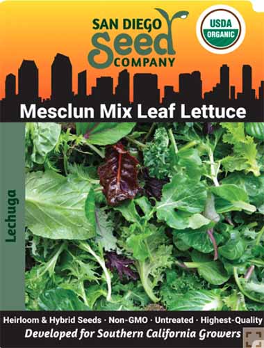 A close up vertical image of a seed packet for Mesclun Mix Leaf Salad.