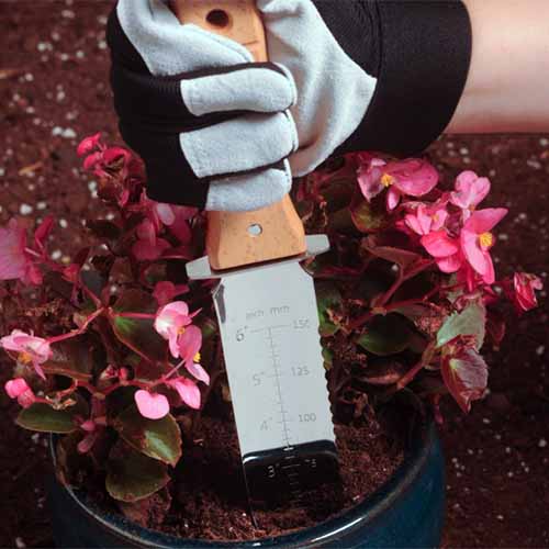 A close-up of a hand wearing a garden glove grabbing the wooden shaft of a Japanese hori hori knife and using it to dig into a small pot of pink flowers.  The background fades to soft focus.