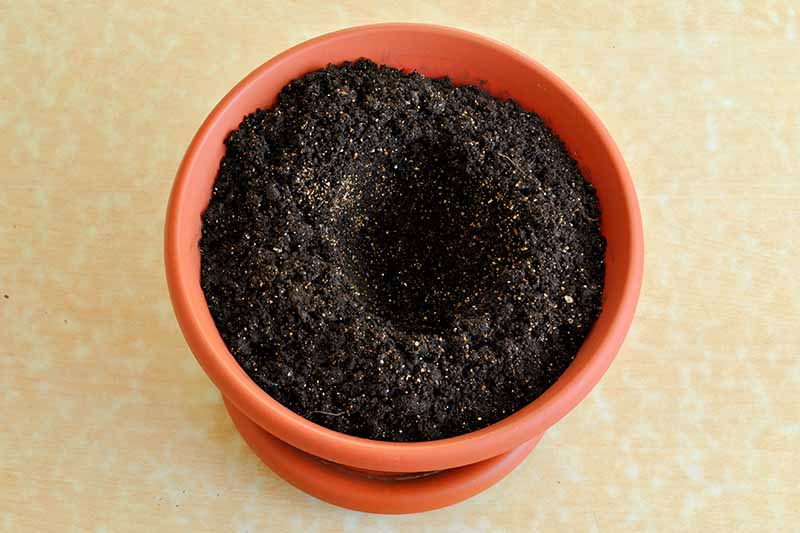 A close up horizontal image of a small round pot filled with well-draining potting medium.