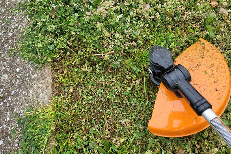 A close up horizontal image of a lawn edger and trimmer getting rid of weeds by the side of a pathway.