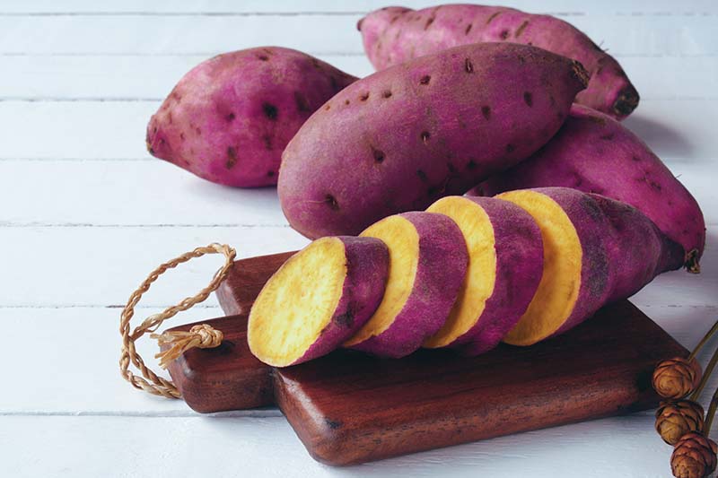 A close up horizontal image of a purple skinned sweet potato with orange flesh sliced on a small wooden chopping board with four whole ones in the background.
