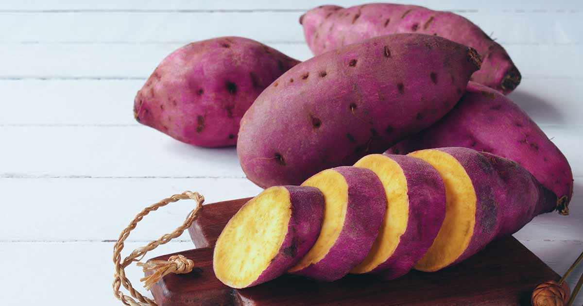 21 of the Best Sweet Potato Cultivars to Grow at Home | Gardener's Path